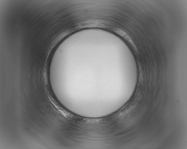 X0000076430882200610060956