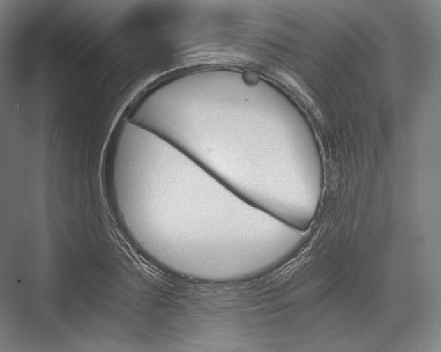 X0000076430883200610060956