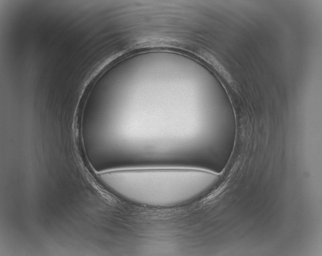 X0000076430885200610060956
