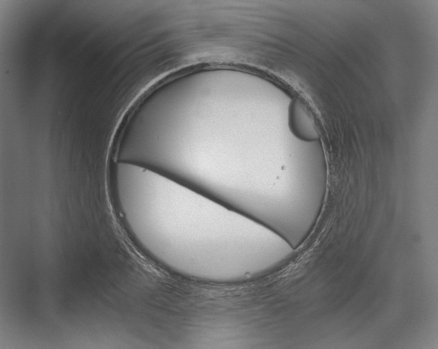 X0000076430887200610060956