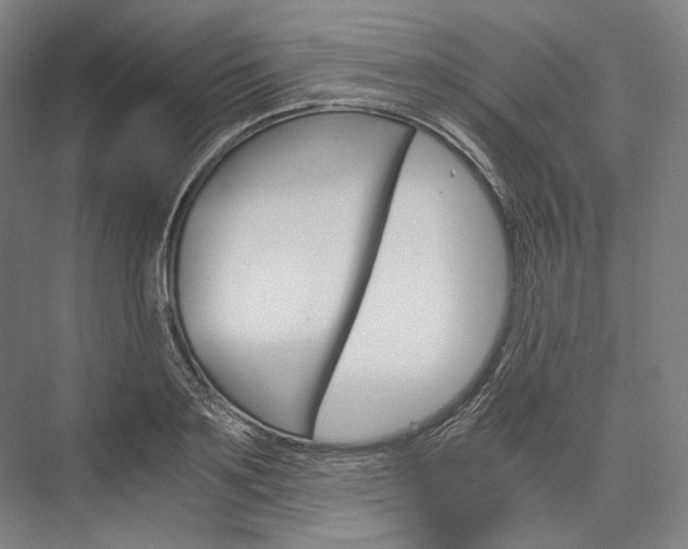 X0000076430891200610060956