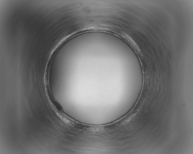 X0000076430893200610060956
