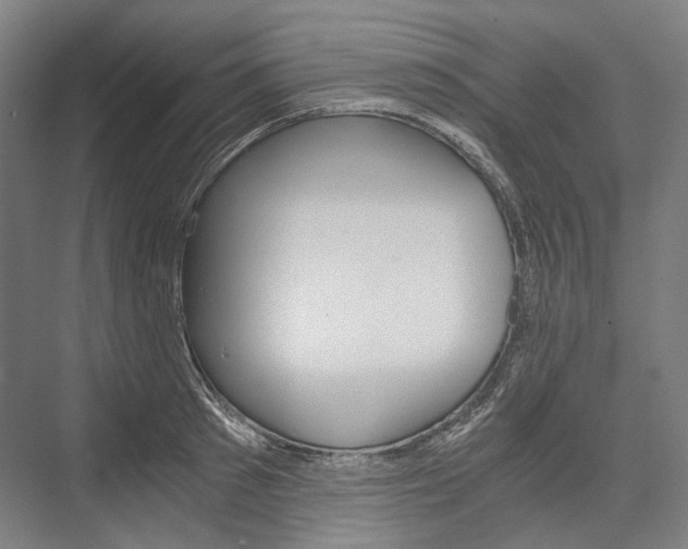X0000076430897200610060956