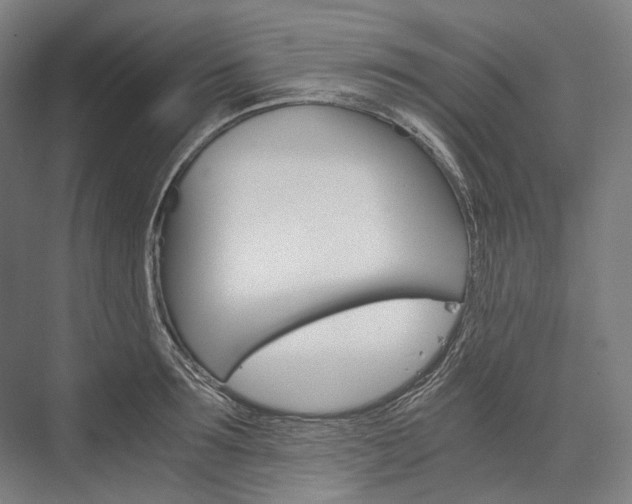 X0000076430899200610060956
