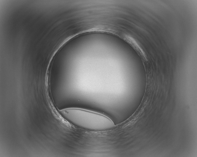 X0000076430900200610060956