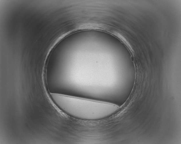 X0000076430901200610060956