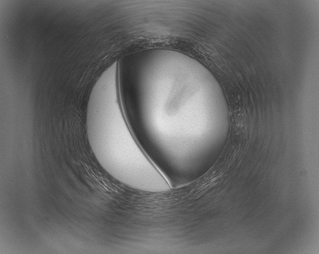 X0000076430916200610060955