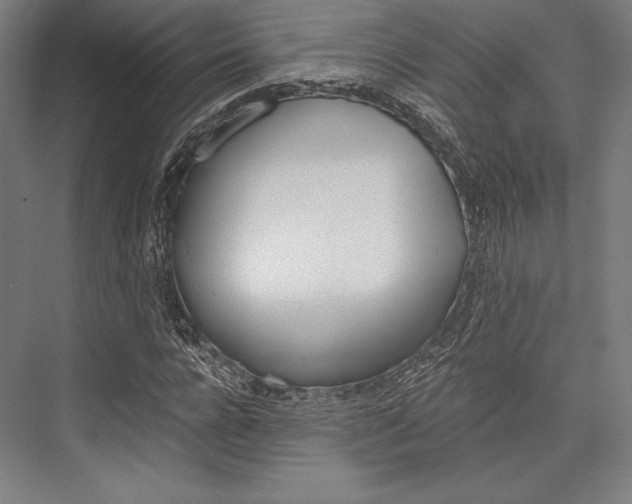 X0000076430920200610060955