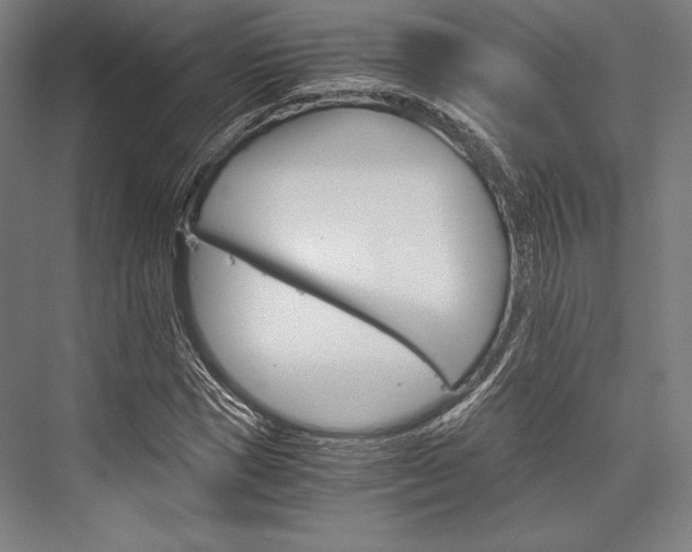 X0000076430921200610060955
