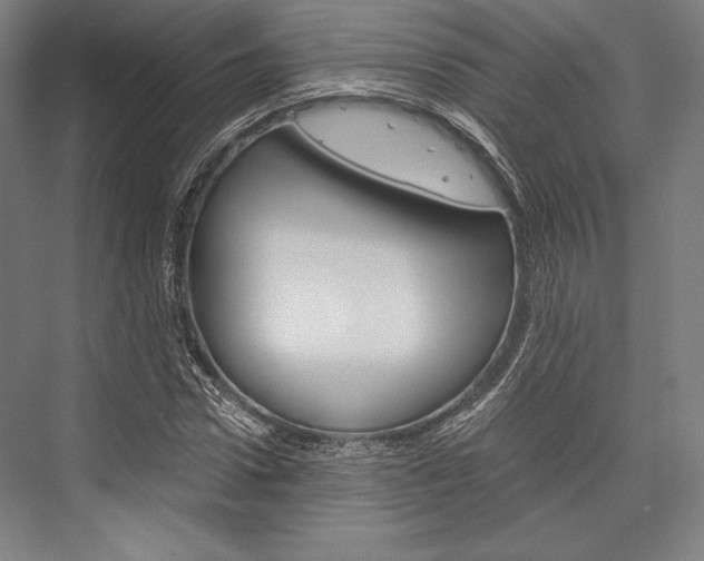 X0000076430922200610060955