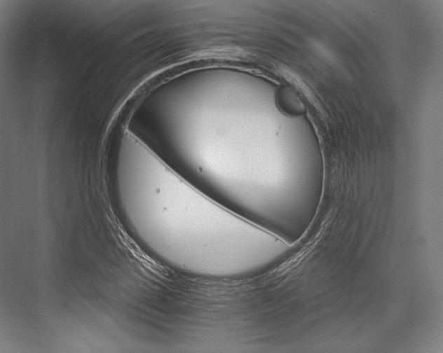X0000076430923200610060955