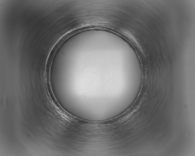 X0000076430924200610060955