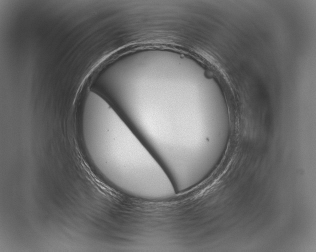 X0000076430925200610060955