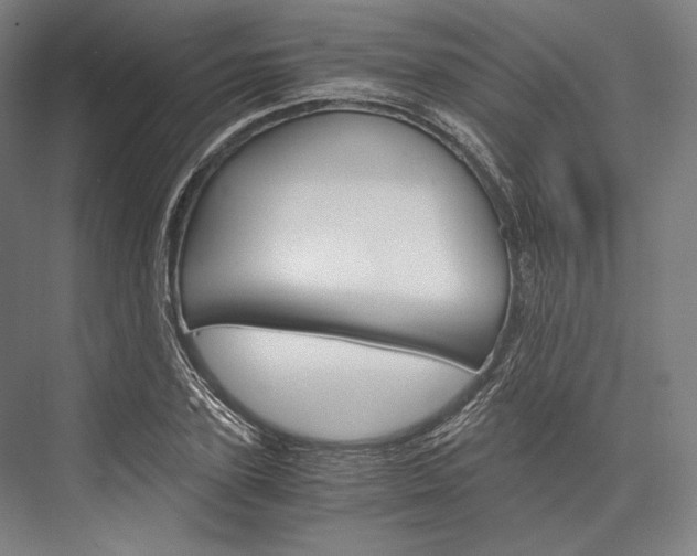 X0000076430931200610060955