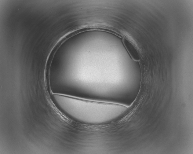 X0000076430932200610060955
