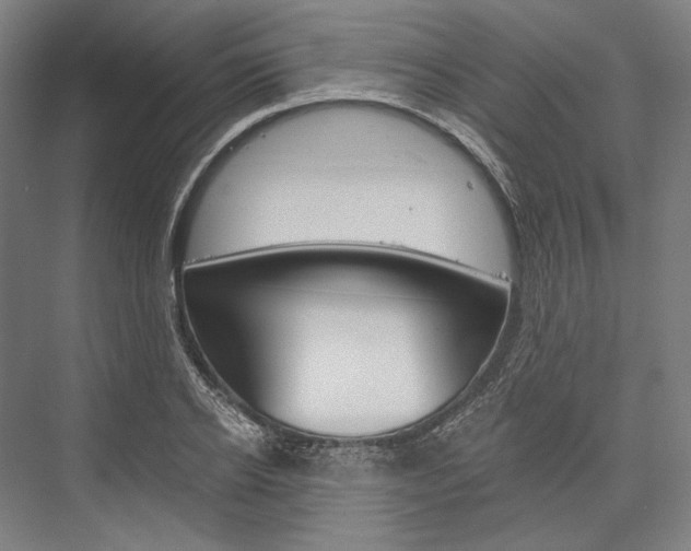X0000076430934200610060955