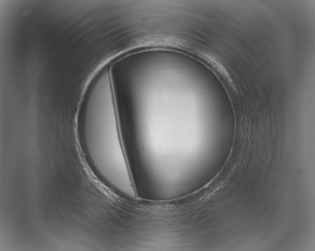 X0000076430936200610060955