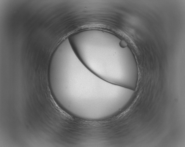 X0000076430937200610060955