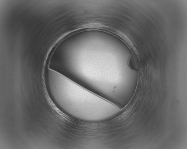 X0000076430939200610060956