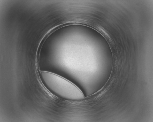 X0000076430940200610060956