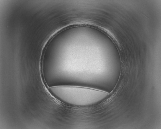 X0000076430943200610060956