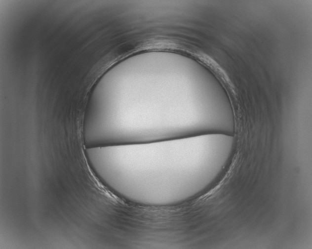 X0000076430945200610060956