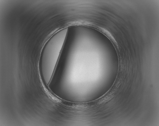 X0000076430946200610060956