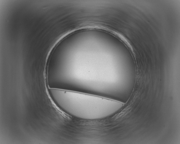 X0000076430951200610060956