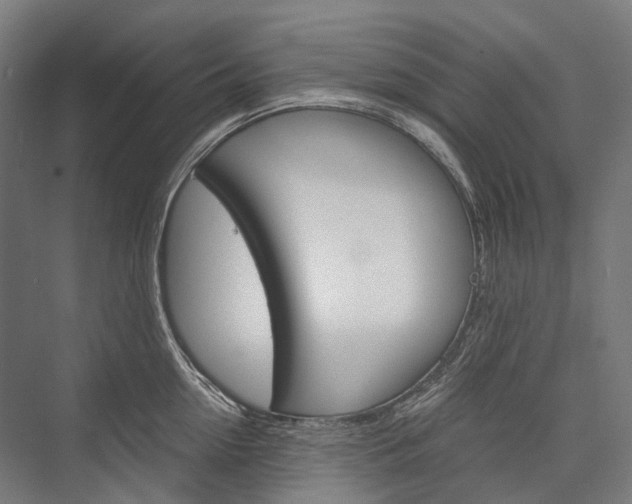 X0000076430954200610060956