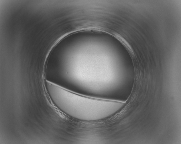 X0000076430956200610060956