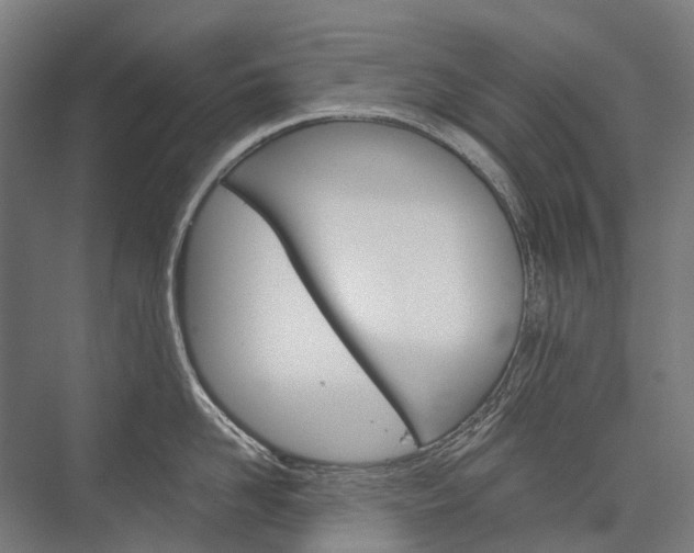X0000076430958200610060956