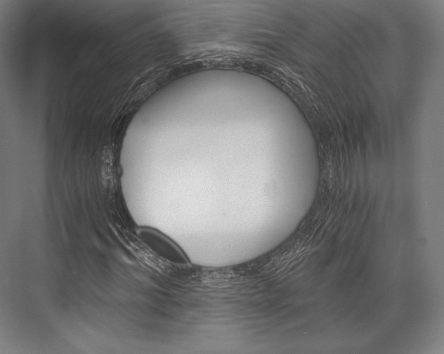 X0000076430964200610060955