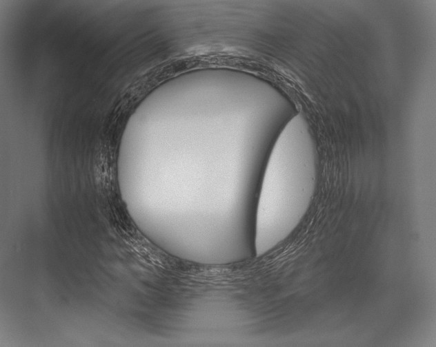X0000076430966200610060955
