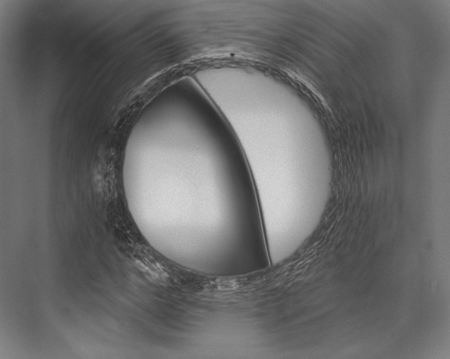 X0000076430968200610060955