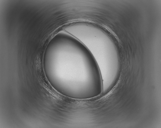 X0000076430969200610060955