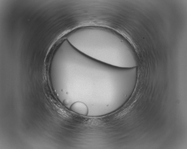 X0000076430974200610060955