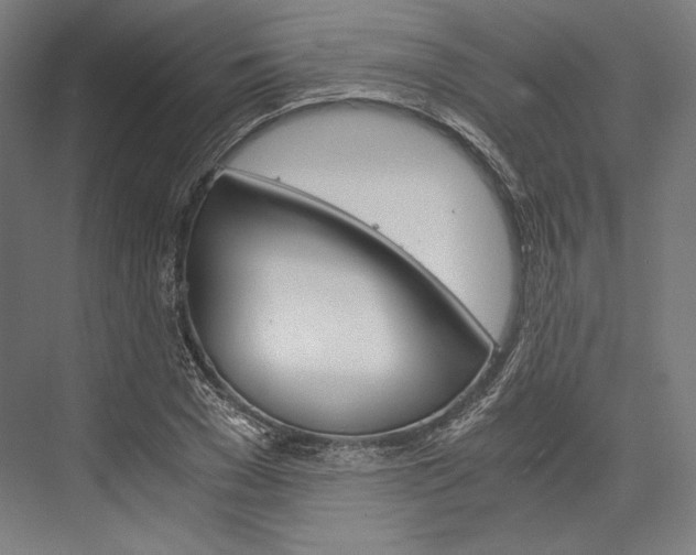 X0000076430977200610060955