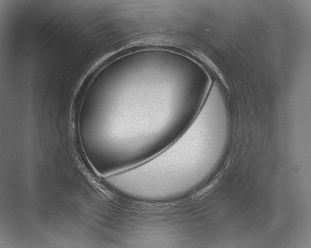 X0000076430981200610060955