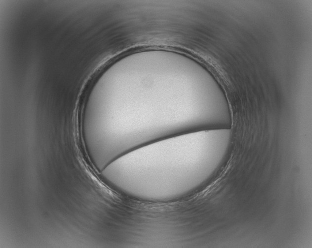 X0000076430982200610060955