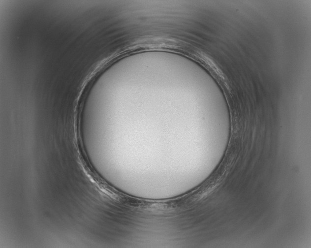 X0000076430986200610060955