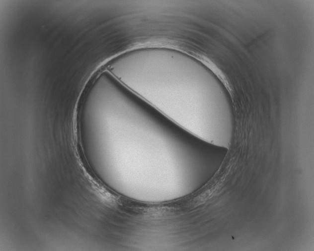 X0000076430988200610060955