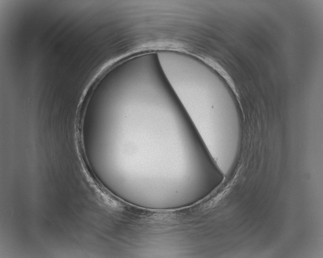 X0000076430989200610060955