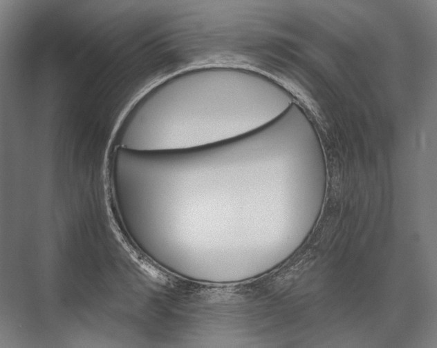 X0000076430990200610060955