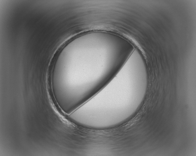 X0000076430991200610060955