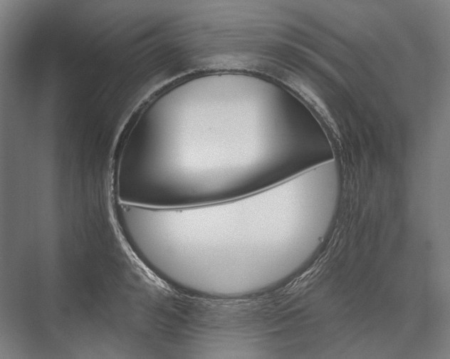 X0000076430992200610060955
