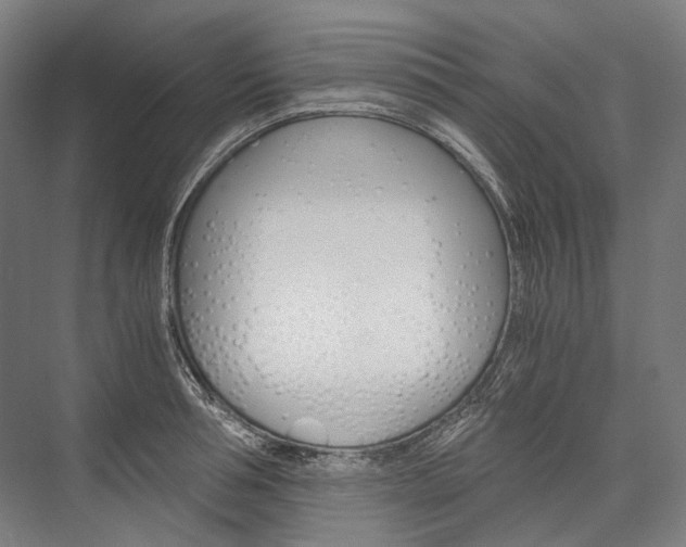 X0000076430994200610060954