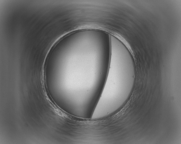 X0000076430996200610060954