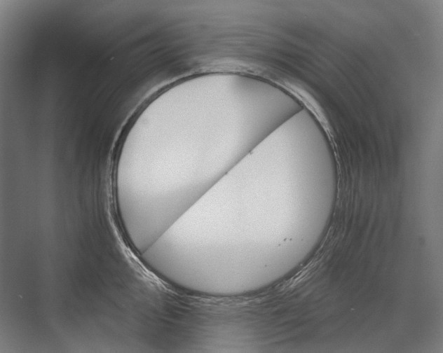 X0000076431000200610060954