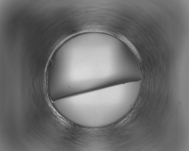 X0000076431004200610060954