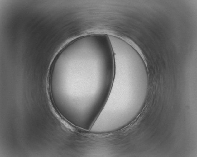 X0000076431005200610060954